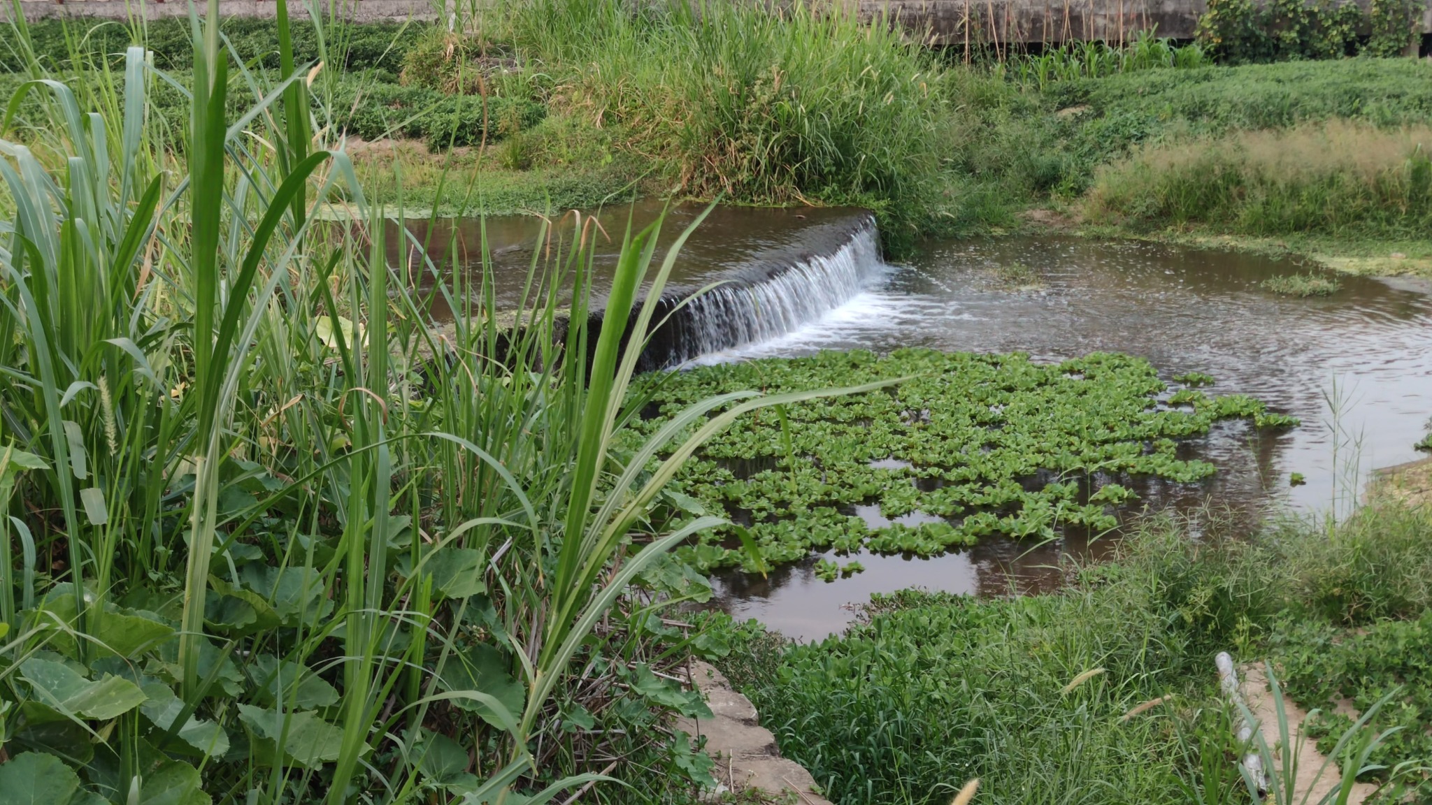 Kleiner Wasserlauf in Qiongzhong auf Hainan