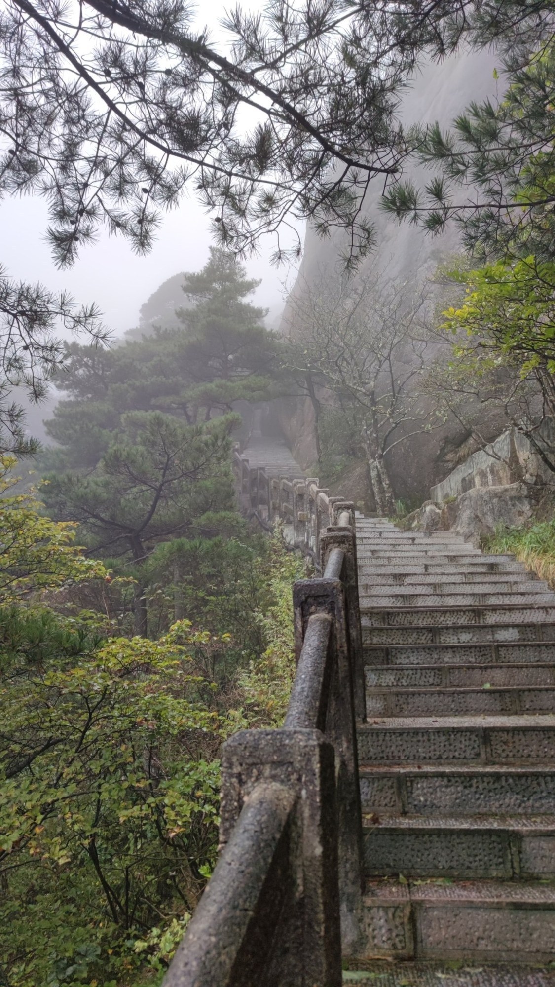 Steintreppe, Kiefern und Nebel am Huangshan