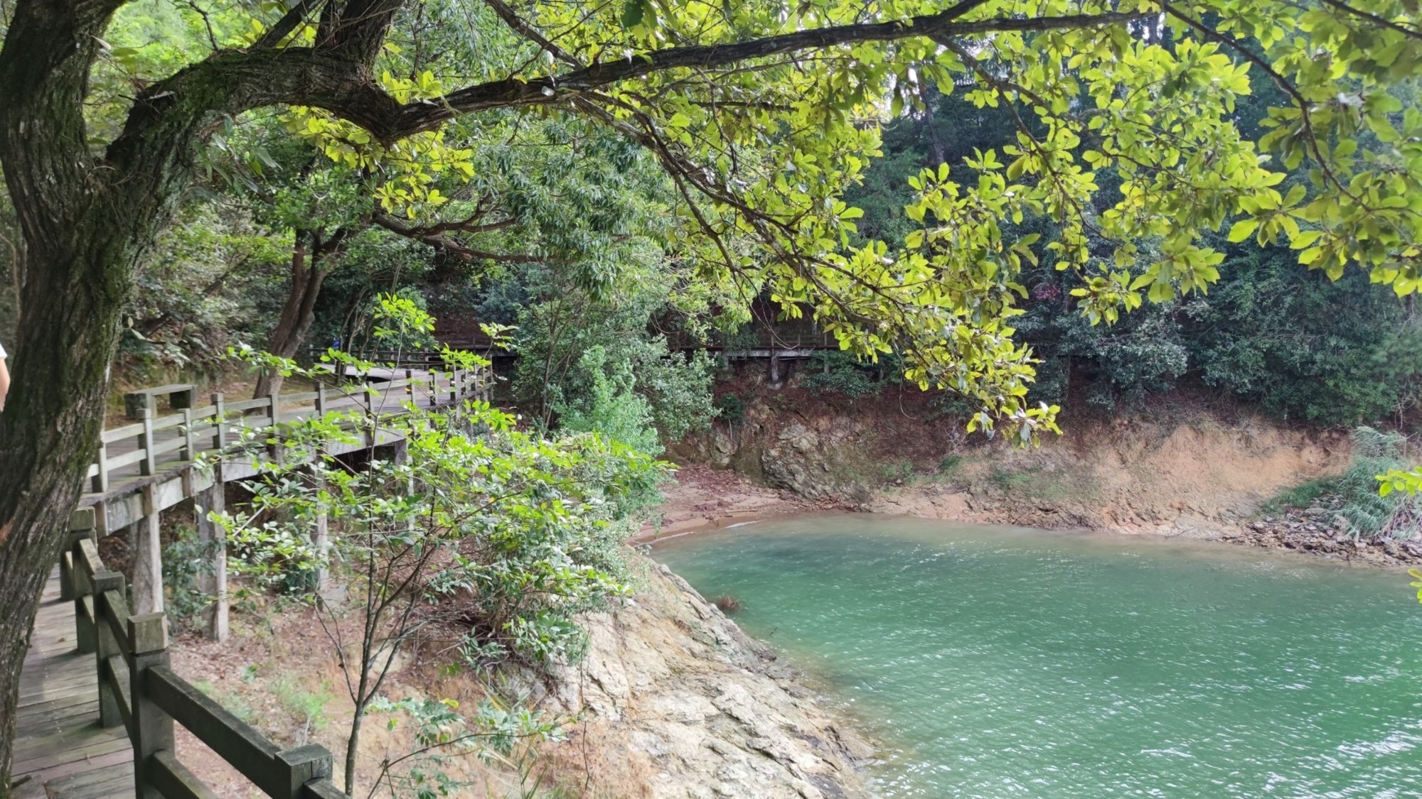 Waldweg und alte Steinstufen am See