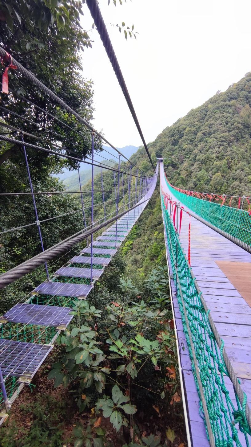 Hängebrücke und Bergtal: Natur plus Nervenkitzel