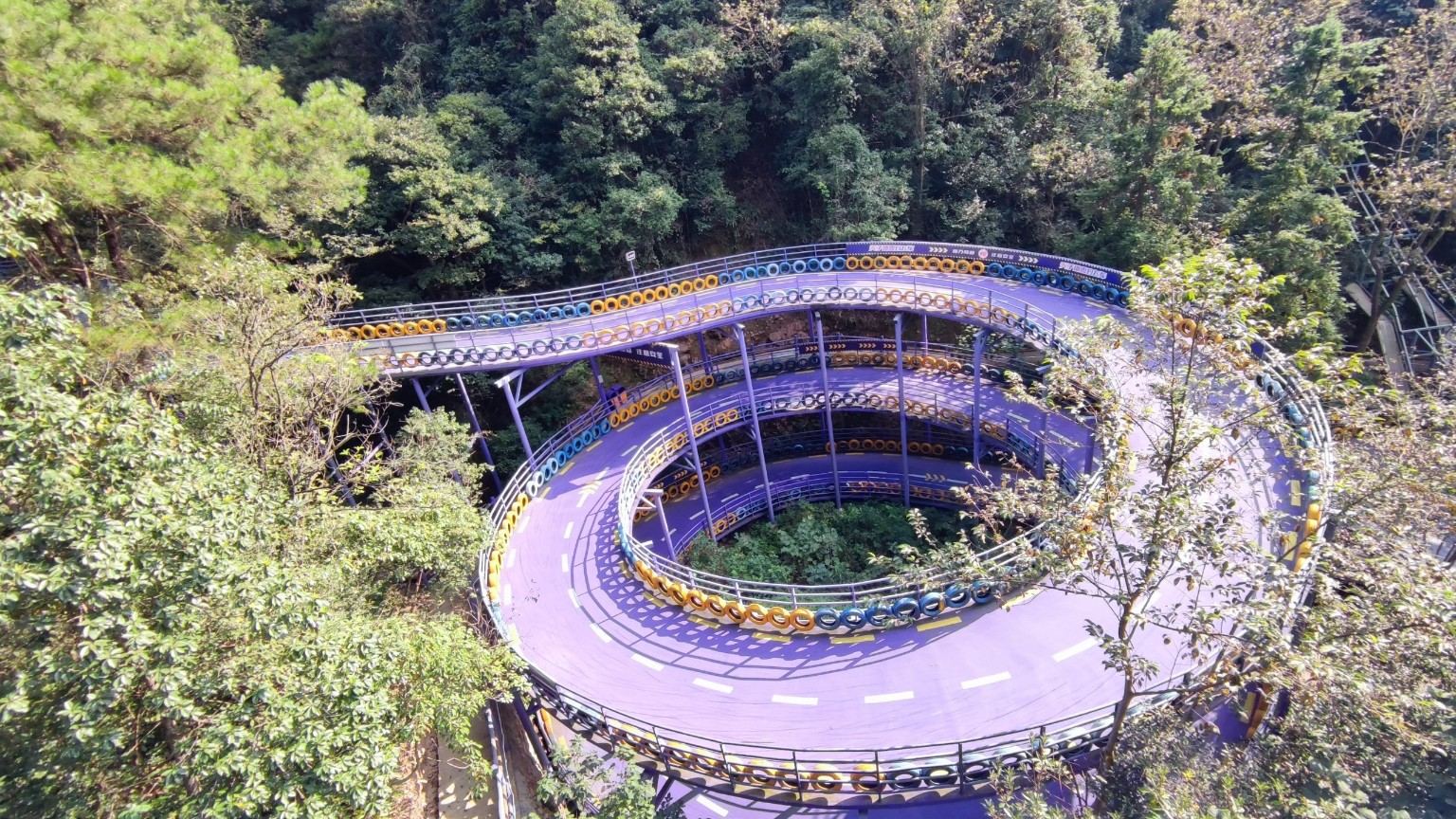 Die violette Bahn zieht sich in Kurven durch den Wald